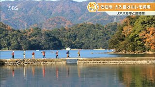 海の細道を歩く…佐伯湾に浮かぶ「大入島」人口10倍超の観光客が殺到 島時間を堪能できるトレッキングコース