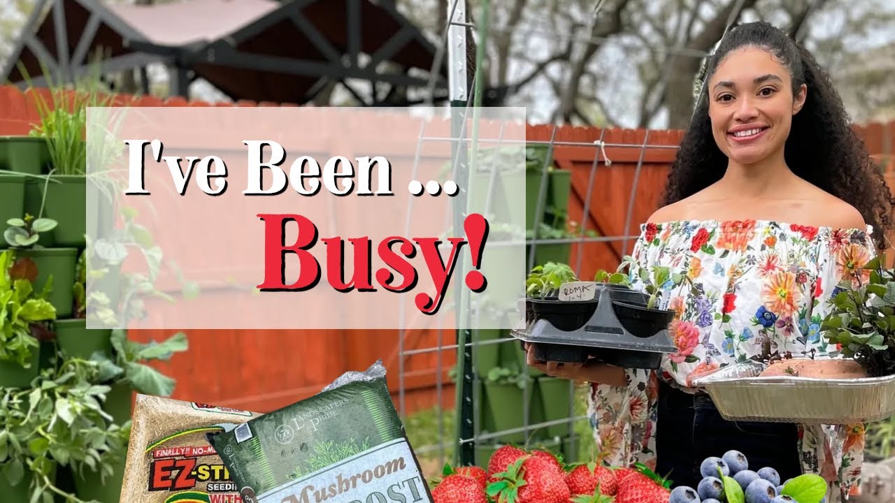 Epic Spring Garden Plans Youtube