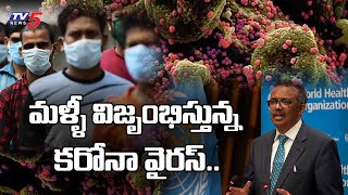 మళ్ళీ విజృంభిస్తున్న కరోనా వైరస్..: WHO Alerts India Over Corona 3rd Wave | TV5 News