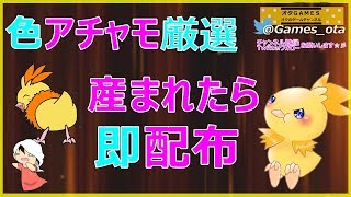 【ポケモンSM】産まれたら即配布！色違い厳選＜腰振りアチャモ＞【オタGAMES】