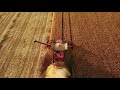 aerial drone view combine harvesters working in wheat field harvesting machine drone shot