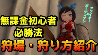 【無課金】これから始める初心者でも簡単に狩りできる最高の組み合わせ！ファイター＆ガーディアン必勝法【ステータス・装備・スキル振り】【元素騎士】