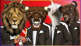 FUNNY LION & FUNNY  BULL & FUNNY OSTRICH & BISON (ANIMALS WORLD) - Coffin Dance X Baby Shark COVER