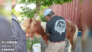 依山休閒莊園 宜蘭頭城休閒農場推薦 宜蘭頭城露營場所推薦 宜蘭頭城馬術課程推薦