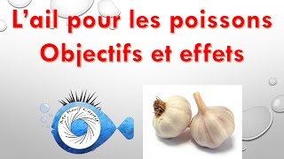 L'ail et son jus dans la nourriture des poissons - Mr Recif Captif #99