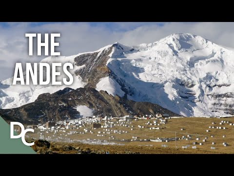 Where is Andes located?