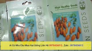 hạt giống cà chua nova nhập khẩu chính hãng mỹ ai cần liên hệ shop 0978426812