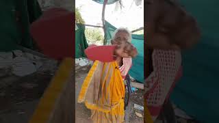 😂दादी आपको ये गाली दे रहे हैं 😂 आप भी गाली दे दीजिए🤣 #comedy #shorts #youtubeshorts #shortvideo