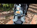 Baby’s First Time Trick Or Treat(Halloween) | in Baby Mouse Costume #Shorts