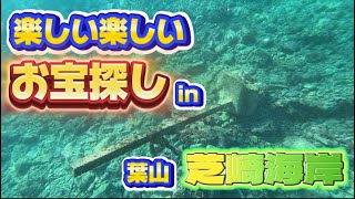 【ひとつなぎの大秘宝を求めて】神奈川県葉山芝崎海岸に素潜りでお宝を探しに行きました！（前編）🌊