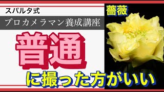 【プロカメラマンになる為に！】第１１２回　普通に撮ったほうがいい被写体