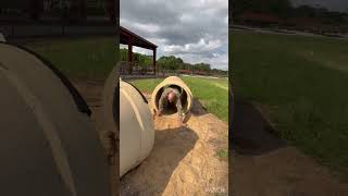OTS Obstacle Course