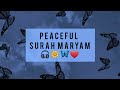 Mind Relaxing Recitation 🎧😭❤🦋 #surahmaryam #recitation #peaceful #allah #islam