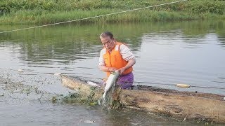 許可得ずサケ十数匹捕獲 アイヌ男性、先住権主張