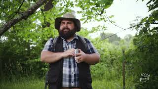 Don't Be a Bob - Be Bearwise: Stay Alert and Stay Together