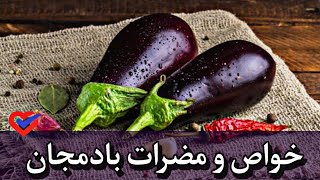 خواص و مضرات بادمجان/ چندین نکته مهم در مورد پخت و نگهداری و مصرف بادمجان