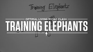 Micro Class: Training Elephants
