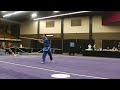 2017 us wushu taolu team trials male gunshu matthew lee