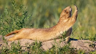 Prairie River Home: Niobrara National Scenic River