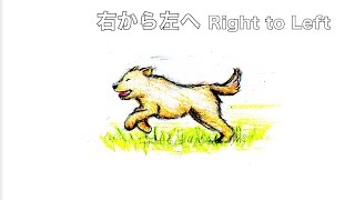 軽やかに走る犬の足音（効果音） Running Dog Footsteps Sound Effect