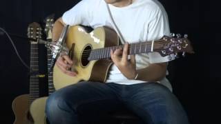 Wolf Guitars Les acoustiques