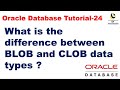 What is the difference between BLOB and CLOB data types ?|| Oracle Database Tutorial