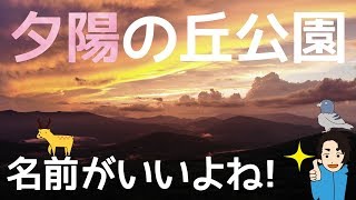 白樺高原の「夕陽の丘公園」って名前がいいよね!