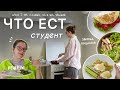 ЧТО Я ЕМ за неделю: рецепты для студентов и закупка продуктов