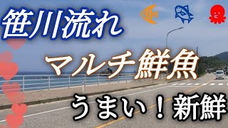 【笹川流れ】夏は笹川流れマルチ鮮魚に食べに来て【新潟県村上市】