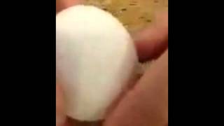 2013 - Fall Equinox Egg Test
