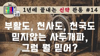 [신약관통14] 예수님 시대 사색당파 싸움: 사두개파 편 | 역사드라마로 읽는 성경