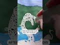 #Howto use Masking Fluid for Watercolour Painting