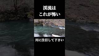 渓流はこれが怖い。#shorts