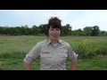 Tallgrass Prairie