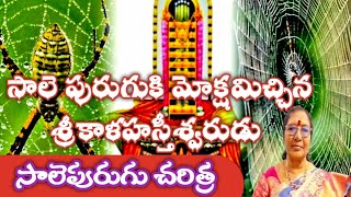 సాలె పురుగుకి మోక్షమిచ్చిన శ్రీకాళహస్తీశ్వరుడు || Srikalahasteeswara || DrVAIDEHIGONUGUNTLA