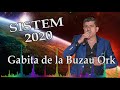 gabita de la buzau sisteeeem nebuun 2020