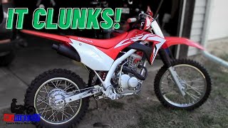 Honda CRF125F Review - What I HATE About It