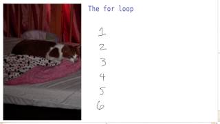 The For Loop - Intro to Java Programming