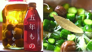 【宝物】明治～祖母の梅酢シロップで漬物『きゅうり漬け』と梅酢ジュースの作り方。