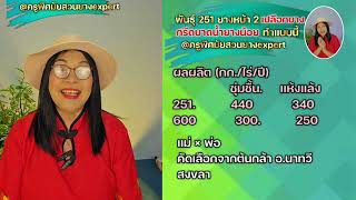 EP0299 พันธุ์ 251 ยางหน้า 2 เปลือกบาง กรีดบาด น้ำยางน้อย ทำแบบนี้  #ครูพิศมัยสวนยางexpert#สวนยาง