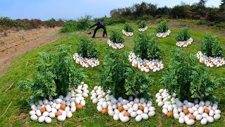 wow wow amazing! pick a lot of duck eggs under grass in small river by hand a smart boy