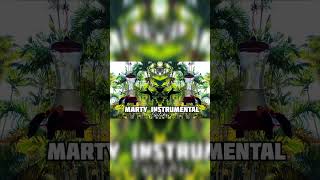 Marty Instrumental short - kolibri