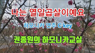 나는 열일곱살이예요 - 하모니카 연주