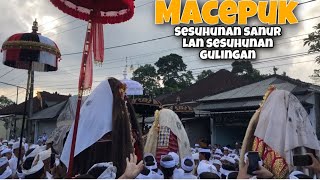 [Full] MECEPUK SESUHUNAN GULINGAN LAN SESUHUNAN SINGGI SANUR.. 24-5-2022