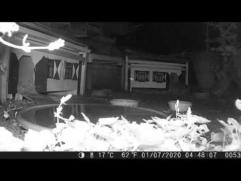 Egelcam 2020 07 01 Dscf0053 Youtube