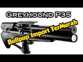 UNBOXING Greyhound P35 Bullpup import Termurah #greyhound #fximpact #pcpmurah #bullpup #senapanangin