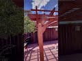 Discovery Pergola 12x14