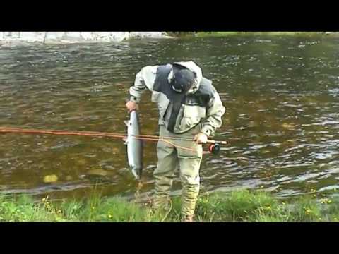 Laksefiske 2004 - Elven Røsta, Norge - YouTube