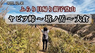 《都内から日帰り親子登山》 紅葉までもう少しだった塔ノ岳🍁  〜丹沢大山エリア〜