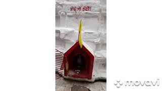 ବୁଢ଼ାରଜା ମନ୍ଦିର ସମ୍ବଲପୁର Budharaja Sambalpur #ବୁଢାରଜା_ମନ୍ଦିର_ସମ୍ବଲପୁର #Budharaja_Temple_Sambalpur